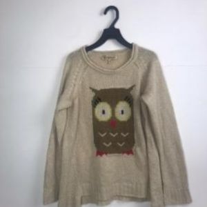 Democracy Owl Sweater